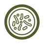 400 mg Probiotic Blend