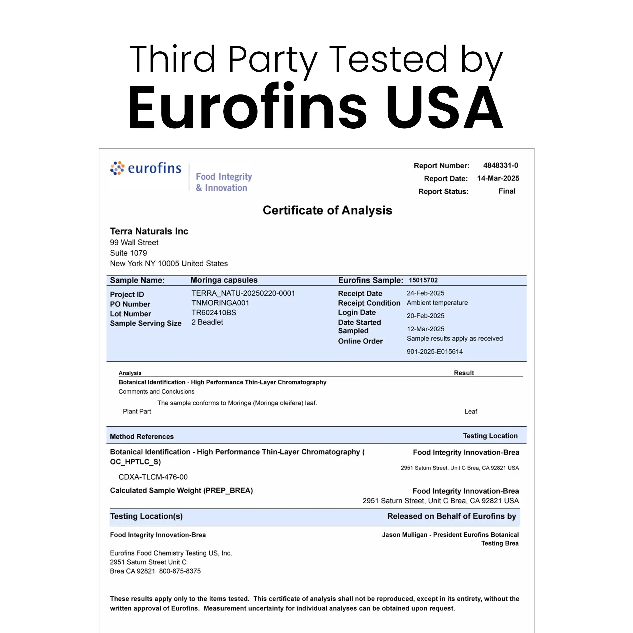 terra360° Moringa Capsules – Natural Cortisol & Stress Support with Moringa Oleifera for Daily Balance (60 capsules)