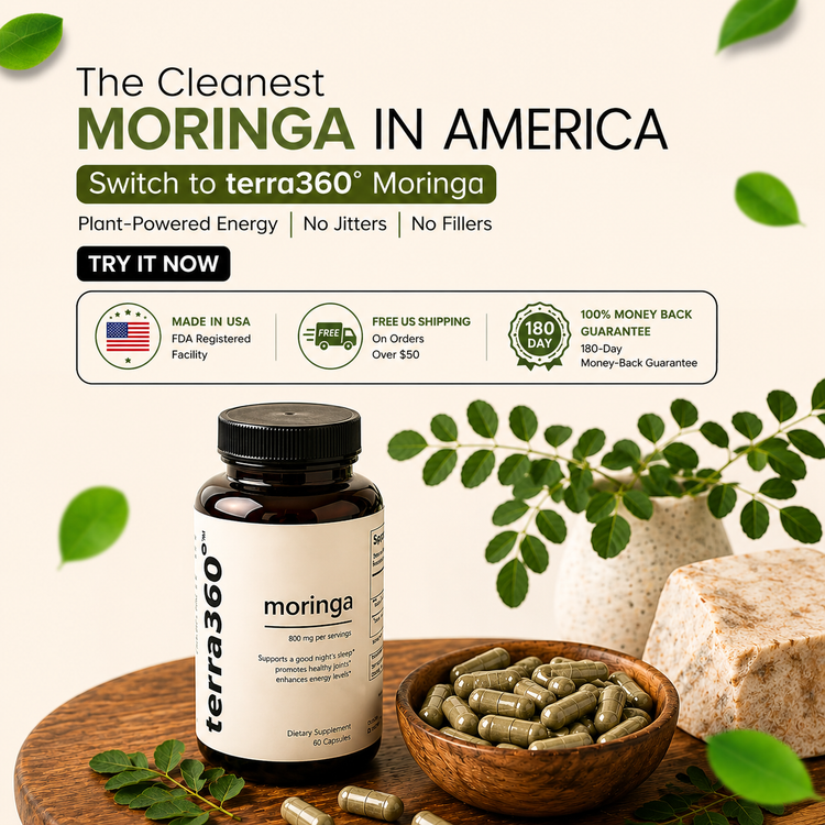 Moringa in America