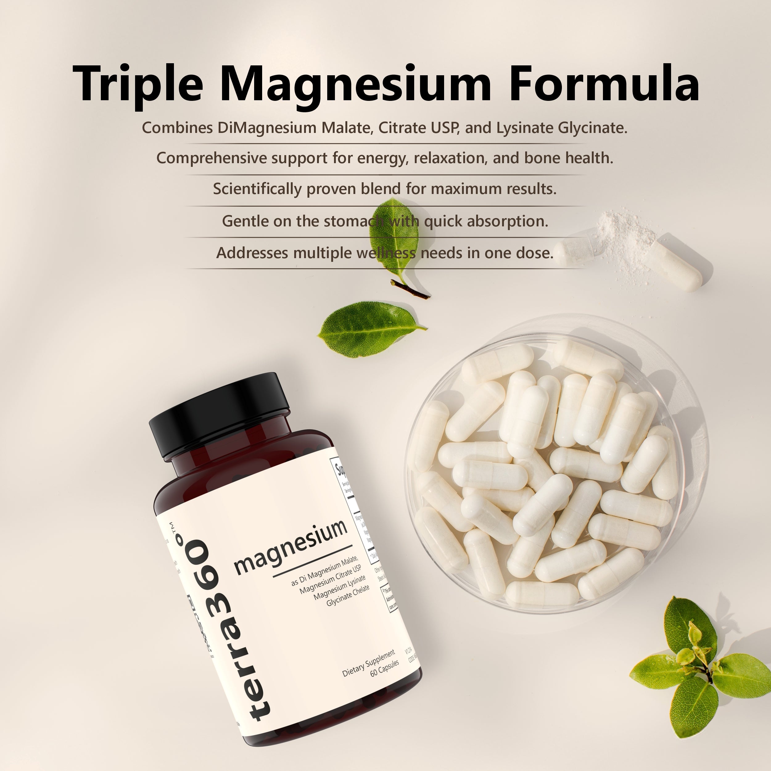Terra360° Magnesium Capsules - ( Pack of 2 ) Heart, Muscle & Nerve Support (60 Capsules)