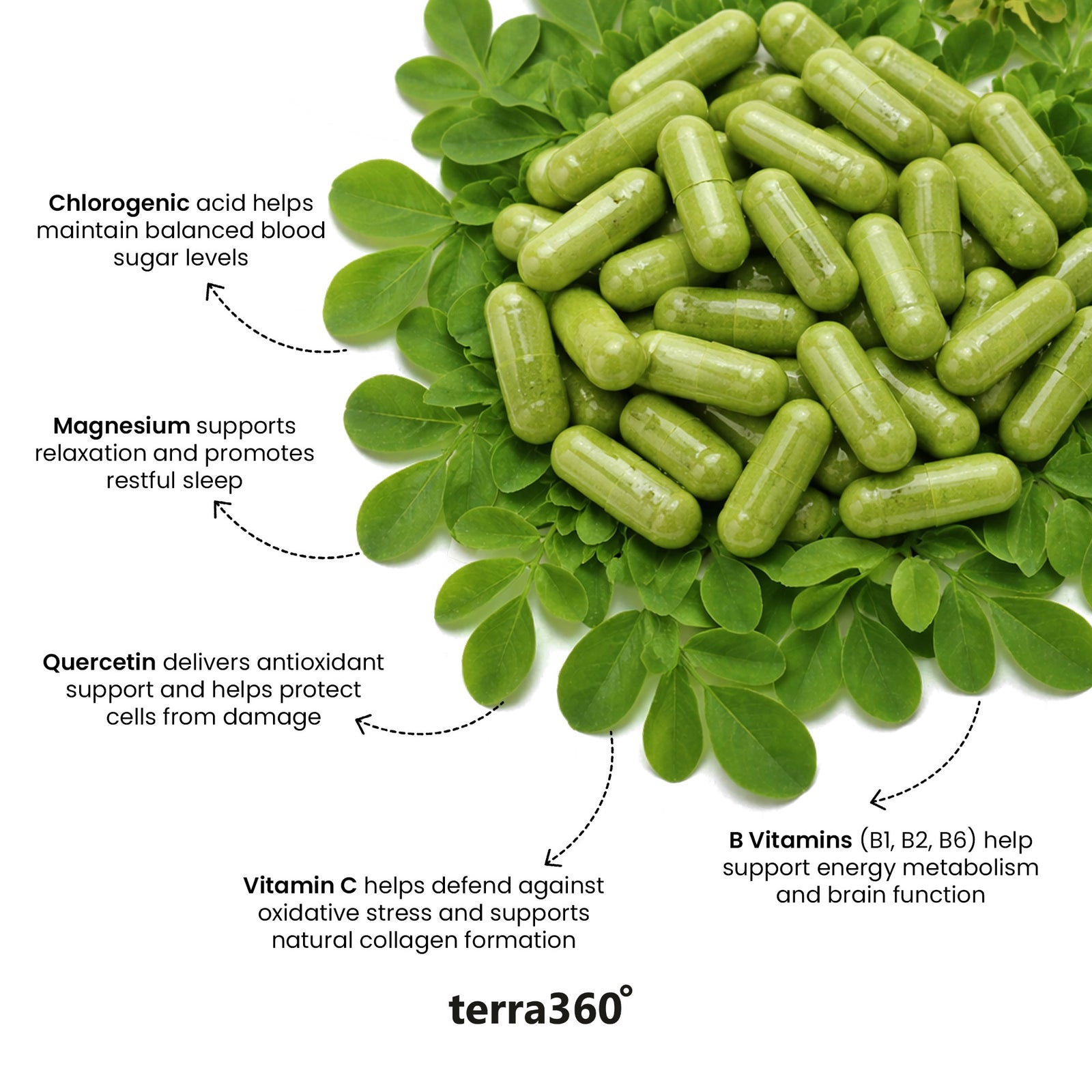 What’s Inside — The terra360° Approach